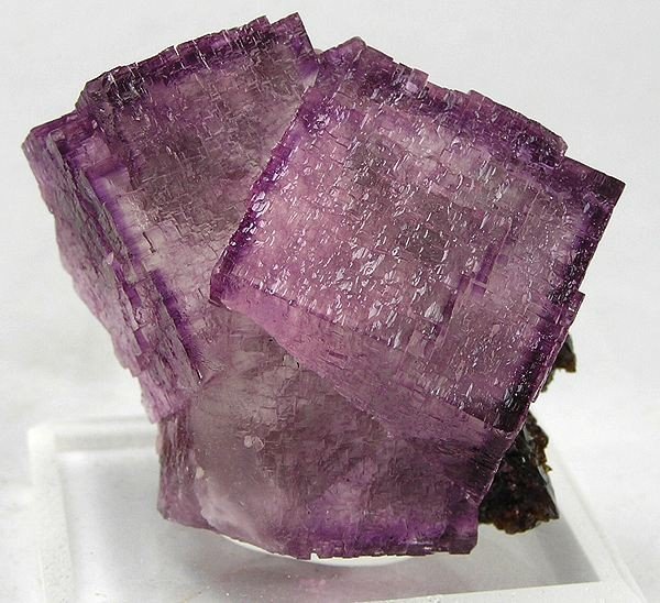 Purple fluorite crystals grown as interpenetrating cubes with flat square faces.