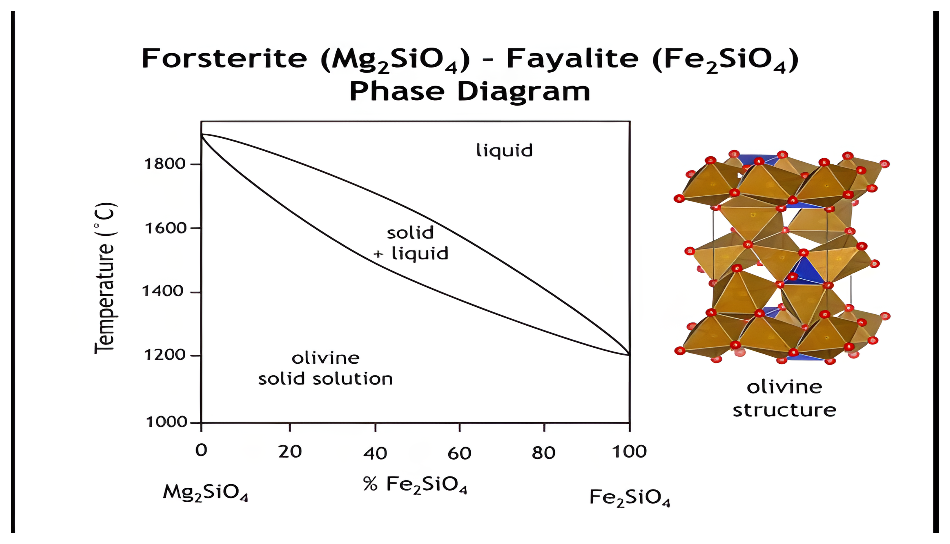 The forsterite to fayalite phase diagram, a narrow liquid-plus-solid lens above the olivine solid-solution field, beside a polyhedral drawing of the olivine structure.