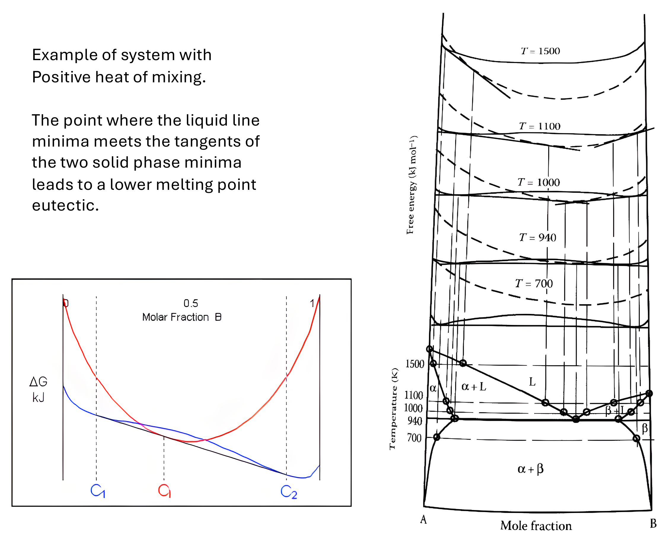 Free-energy curves at falling temperatures generating a eutectic phase diagram.