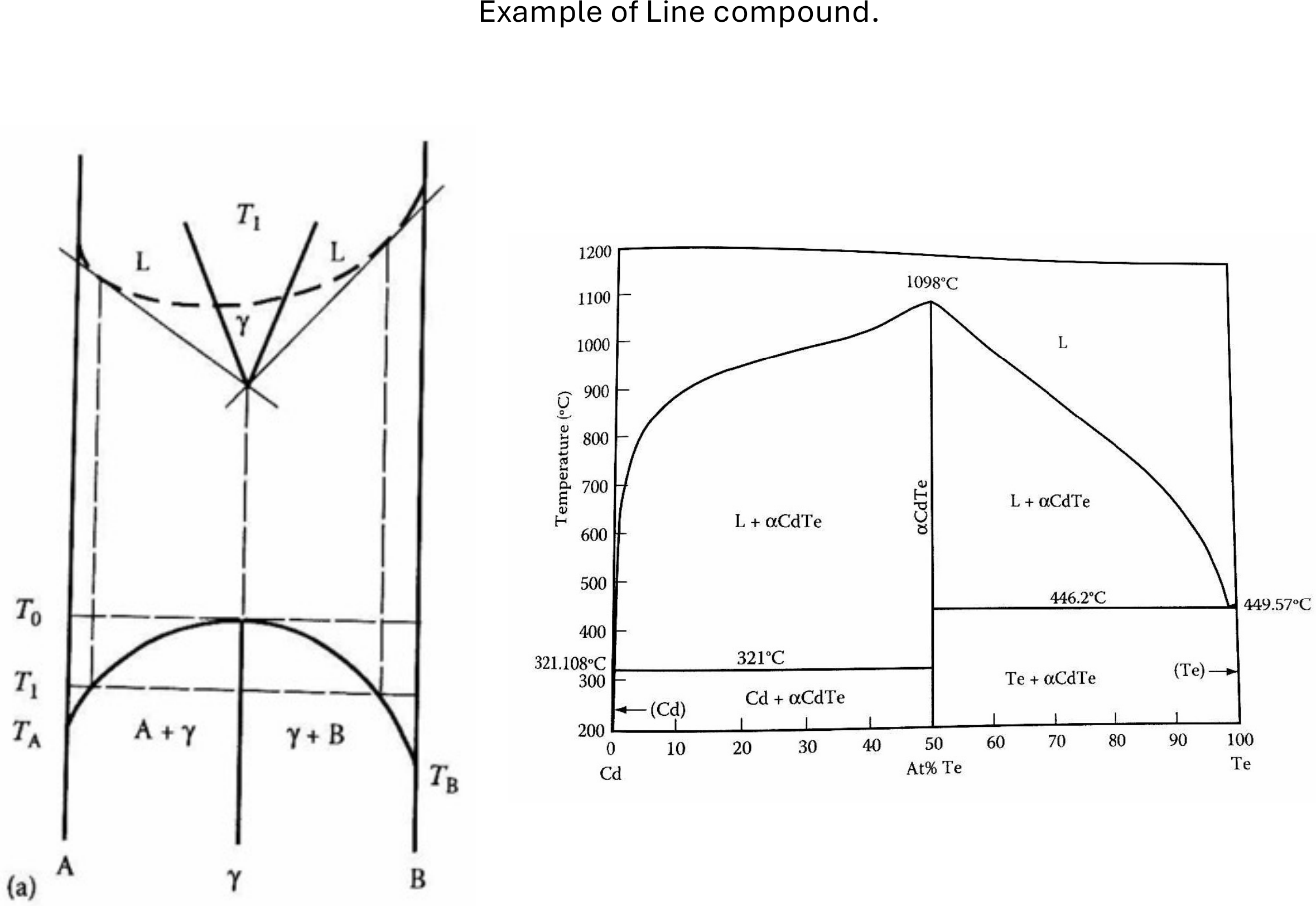 Generic line-compound topology beside the real cadmium-tellurium phase diagram with its vertical CdTe line.