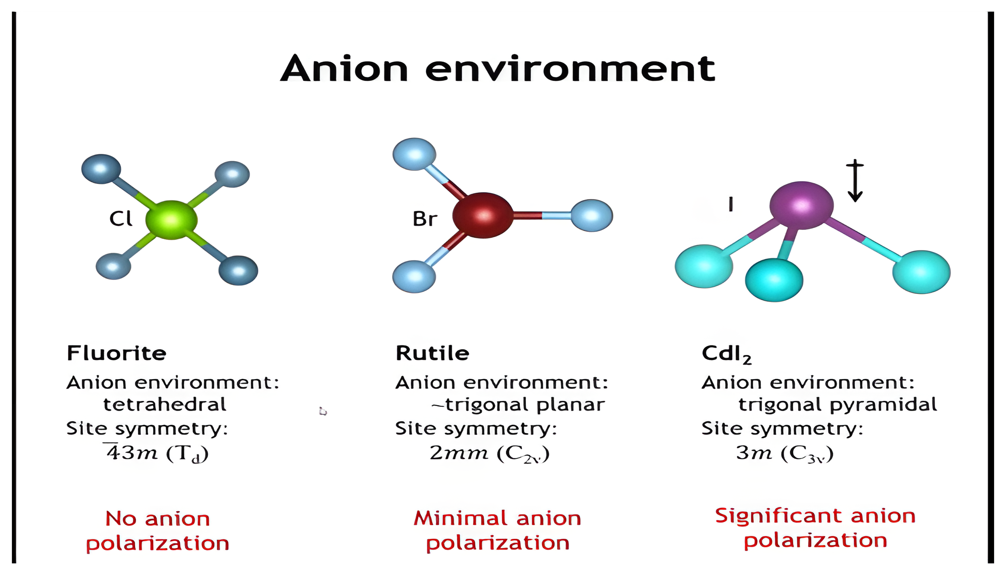 Anion coordination environments in fluorite, rutile, and CdI2, with their polarization consequences.