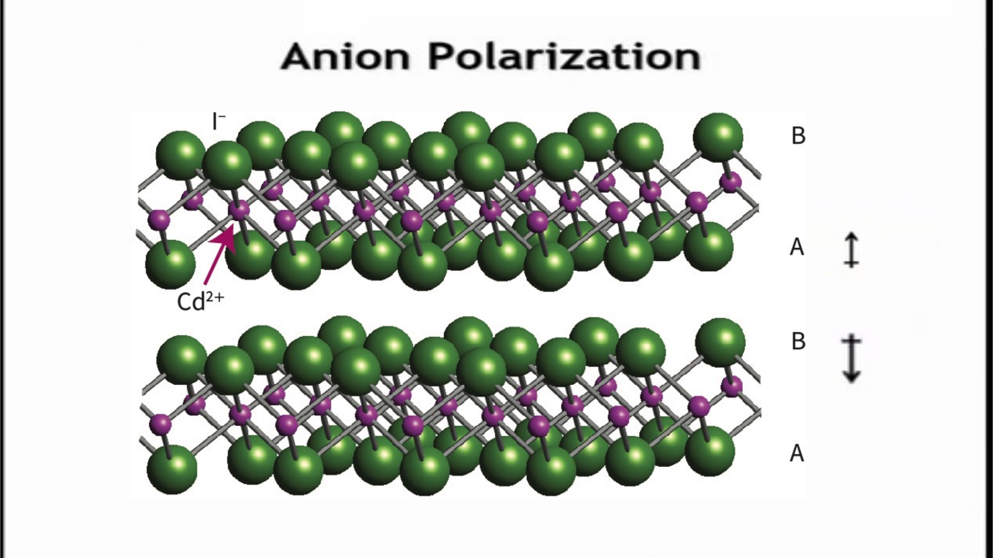 Layered CdI2-type structure showing the induced dipole pulling anion charge toward the cation layers.