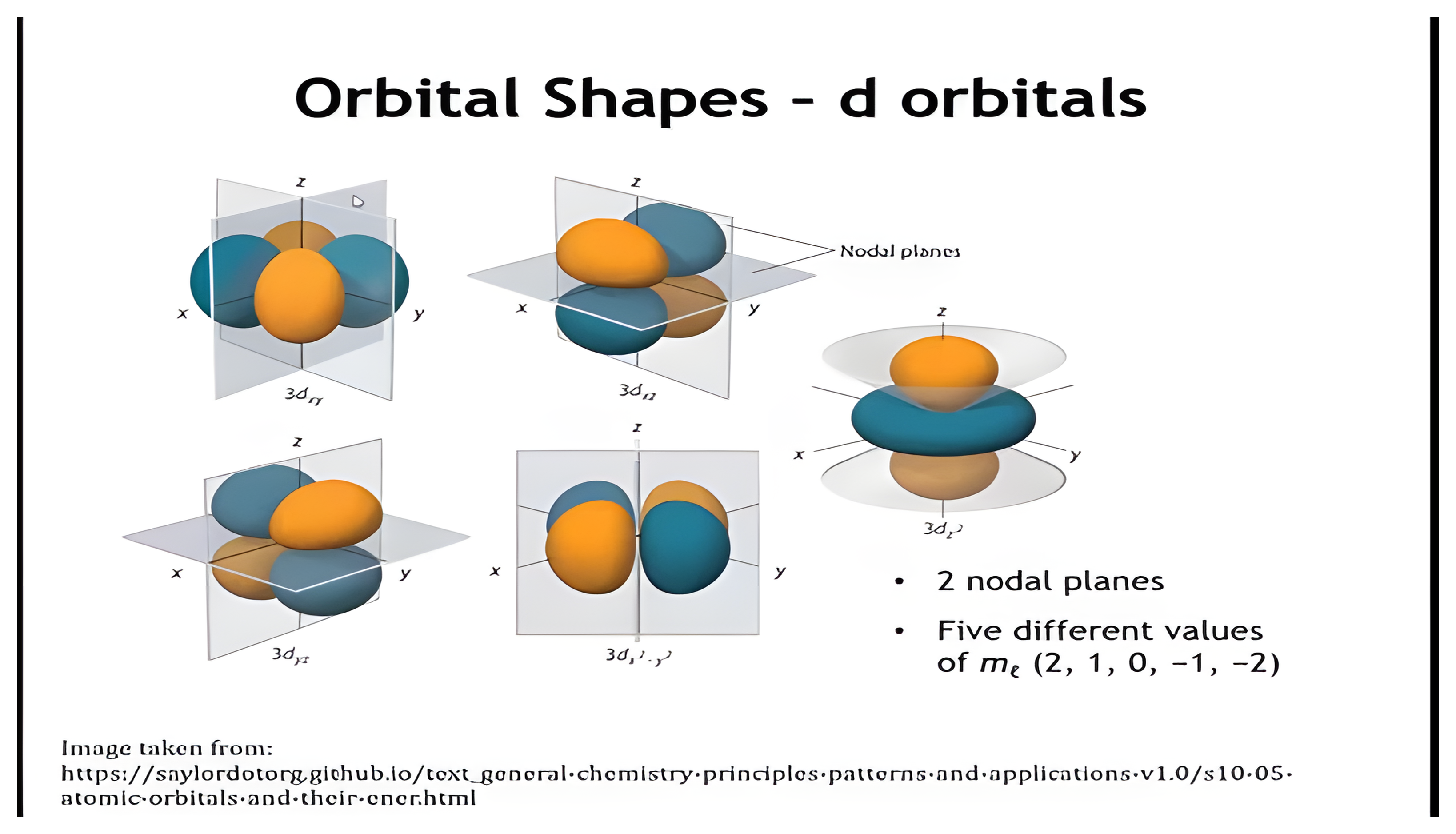 The five d orbitals, four with two nodal planes and four lobes, and the d z squared orbital with nodal cones.