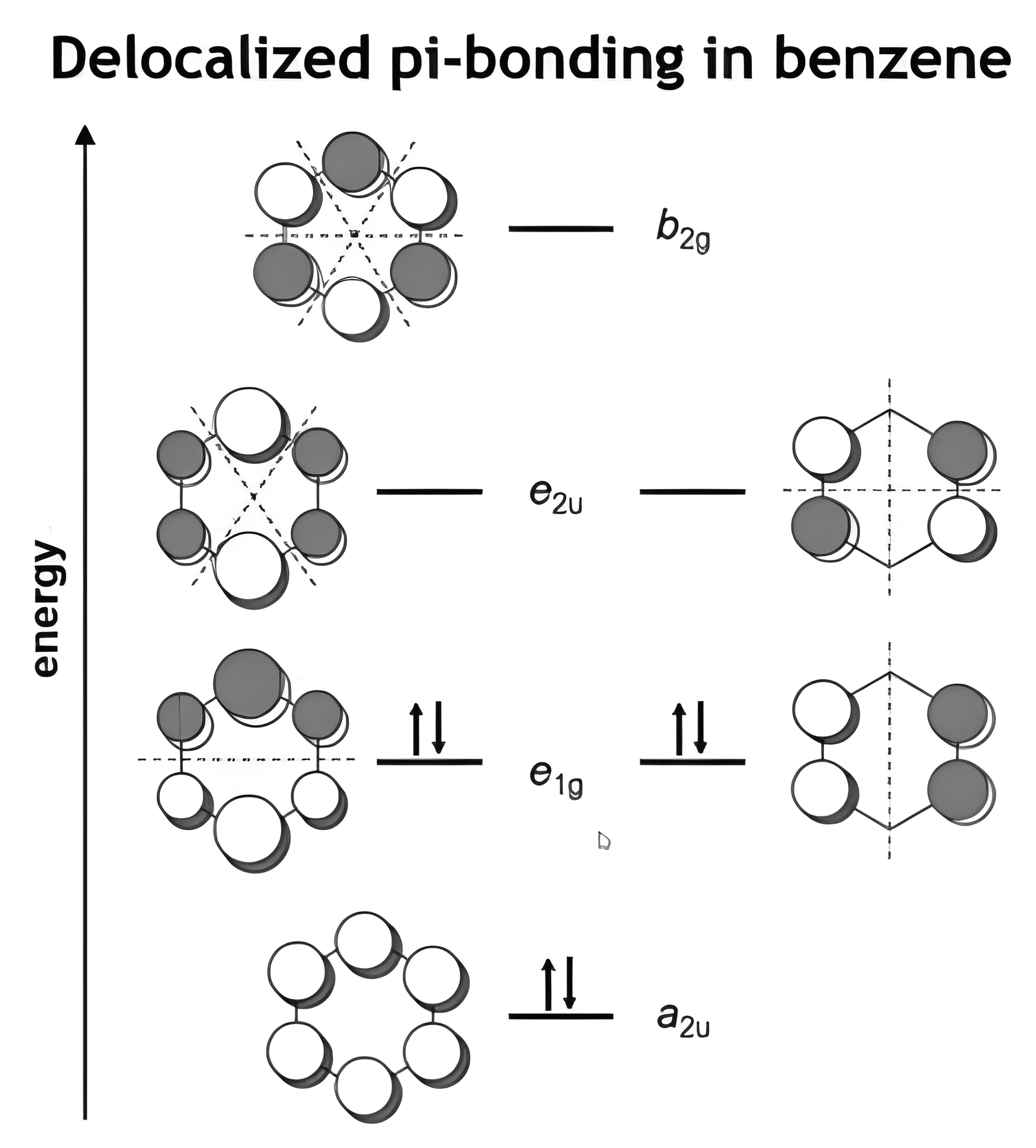 The six pi molecular orbitals of benzene ordered by energy and nodal-plane count, from all-bonding a2u to all-antibonding b2g.