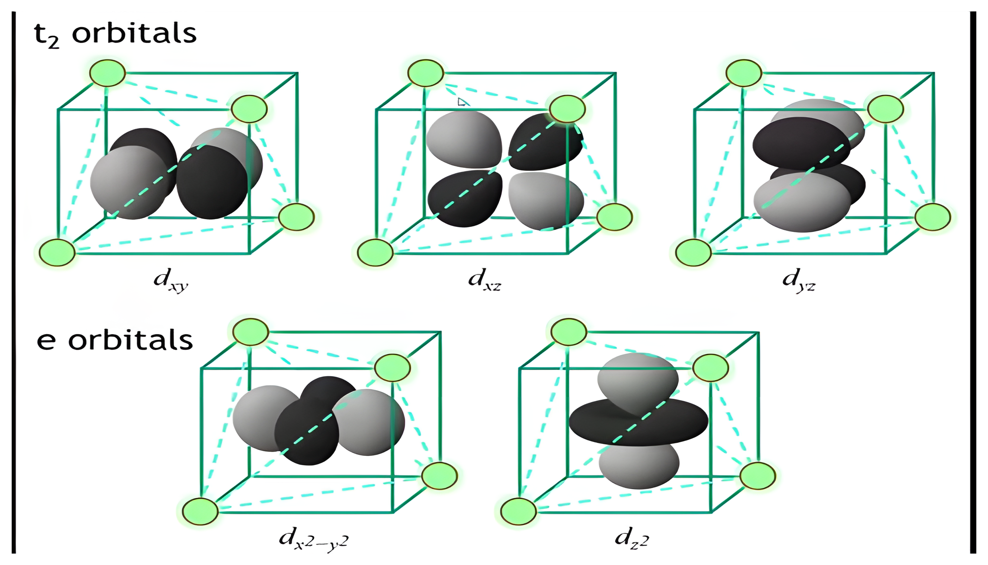 The five cobalt d orbitals drawn inside a cube with ligands on alternating corners: the t2 set dxy, dxz, dyz and the e set dx2-y2 and dz2.