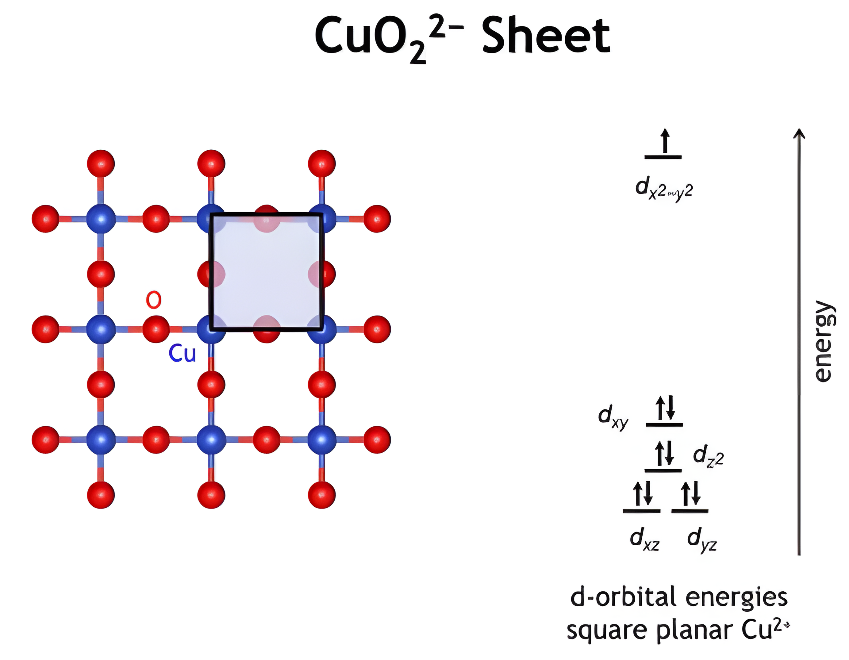 The CuO2 sheet with its square unit cell, copper at the corners and oxygen at the edge midpoints, next to the d-orbital energies of square planar Cu2+ with dx2-y2 highest.