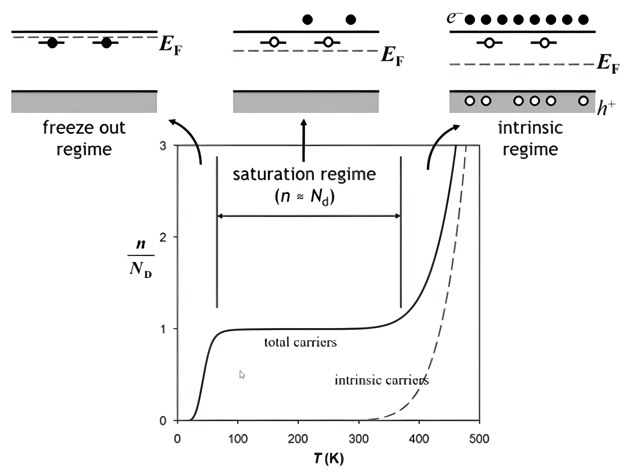 Carrier concentration over donor concentration plotted against temperature, showing the freeze-out regime, the flat saturation regime where n approximately equals N_D, and the steep intrinsic regime.