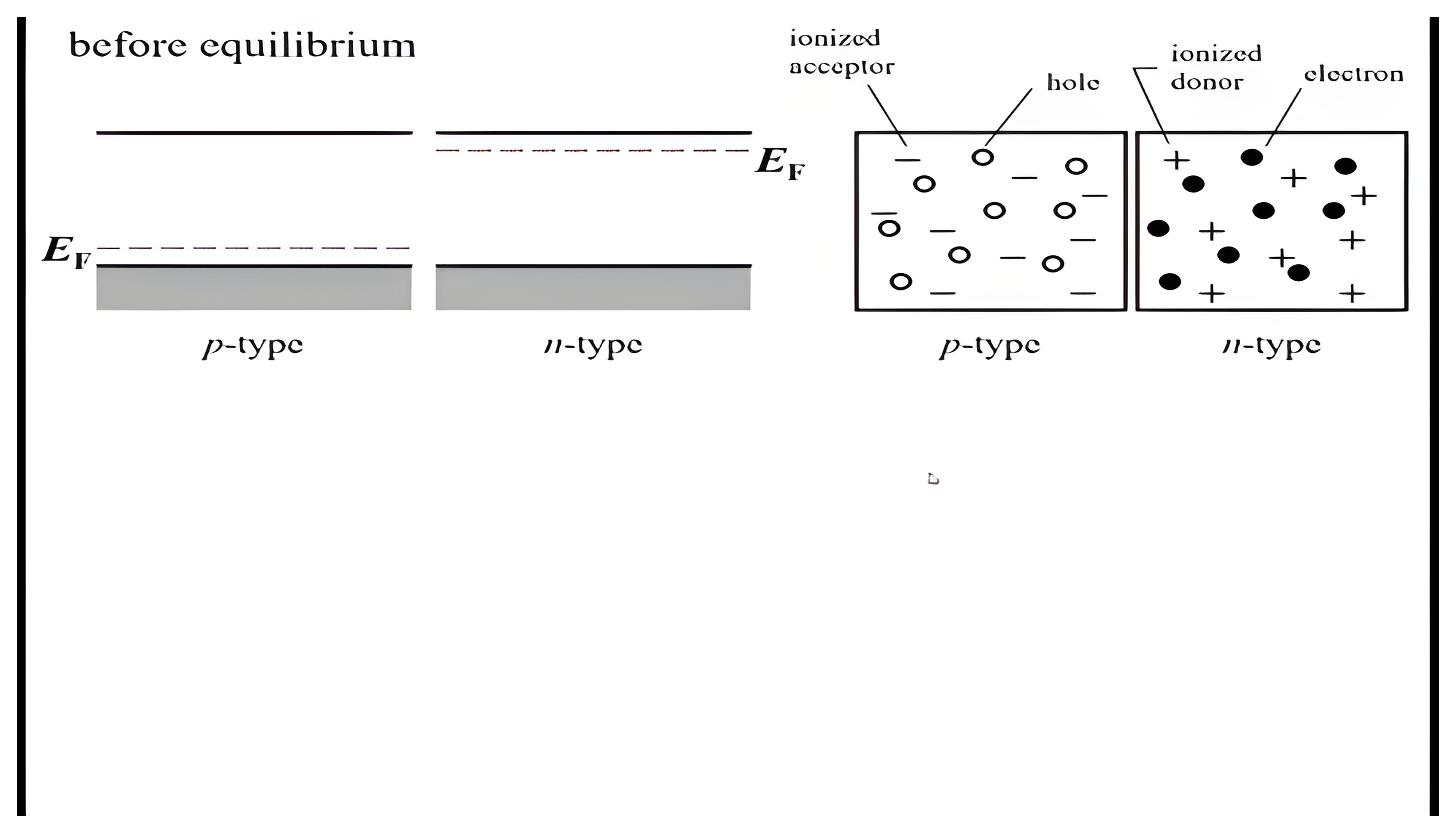 Separate p-type and n-type semiconductors before equilibrium, with their Fermi levels and mobile holes and electrons; a click joins them, aligning the Fermi levels, bending the bands, and opening the depletion region.