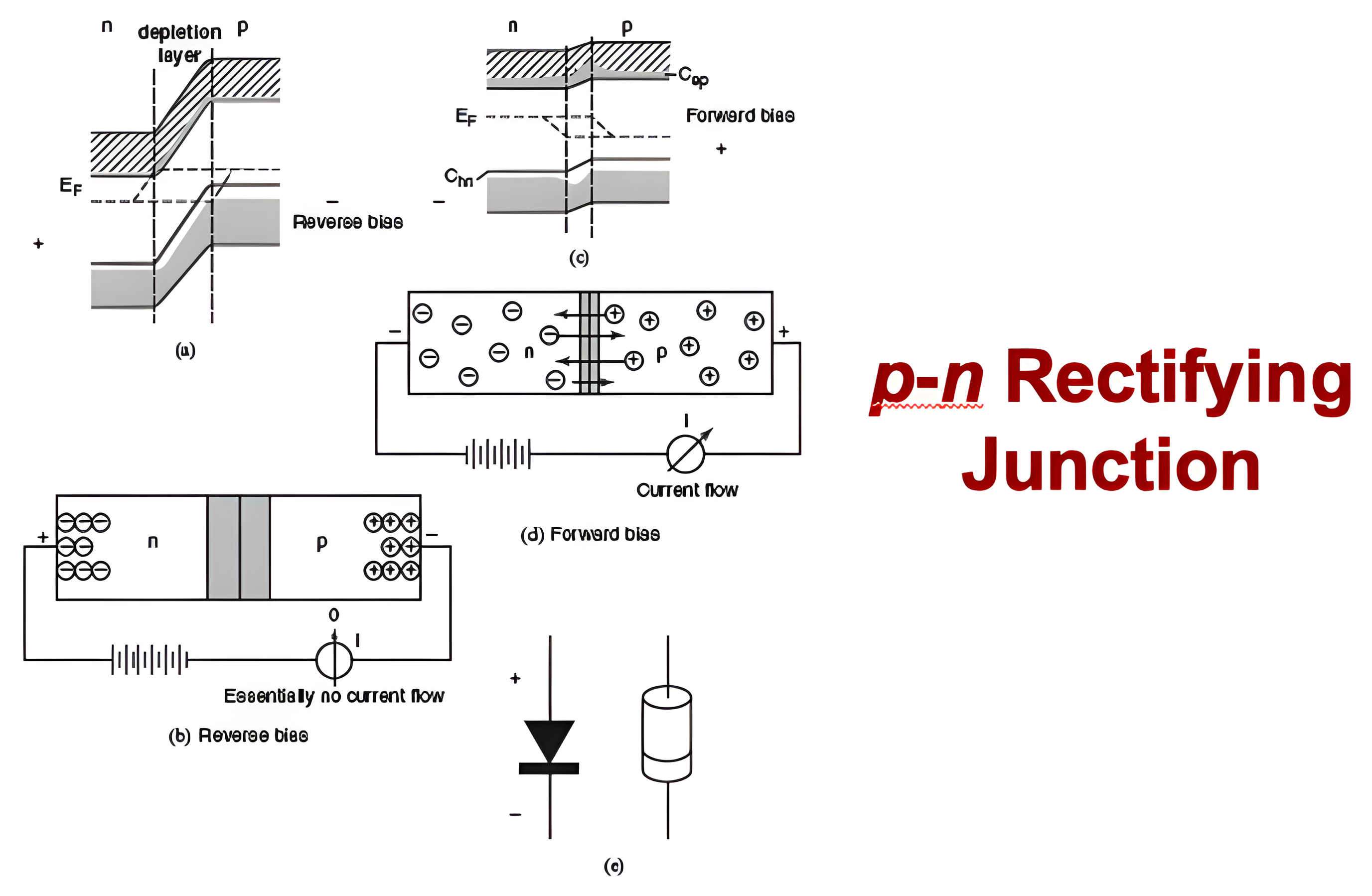 Another view of the p-n rectifying junction: band diagrams and carrier drawings under forward and reverse bias, with the diode circuit symbol.