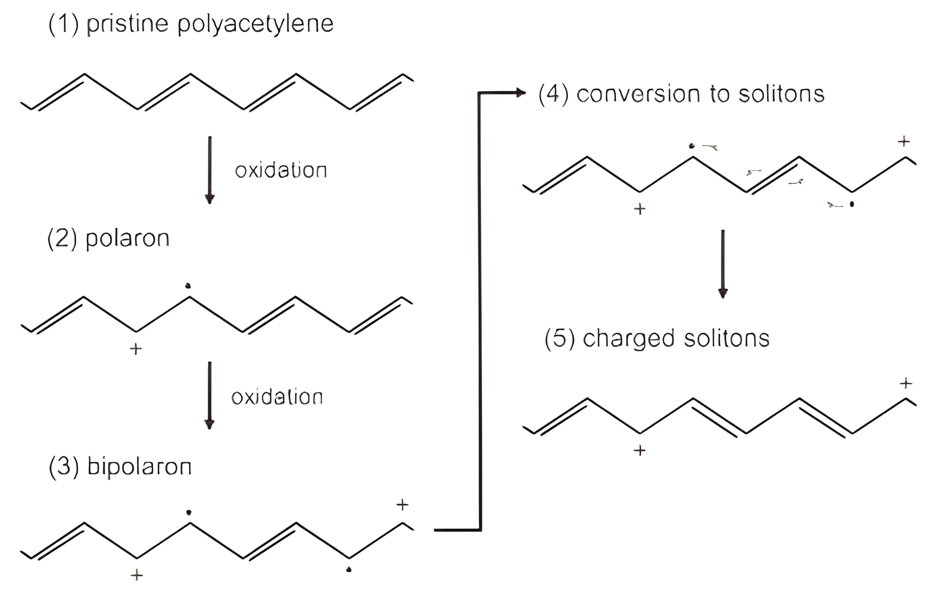 Oxidative doping sequence for polyacetylene: pristine chain, polaron after one oxidation, bipolaron after a second oxidation, conversion to solitons, and finally two separated charged solitons.