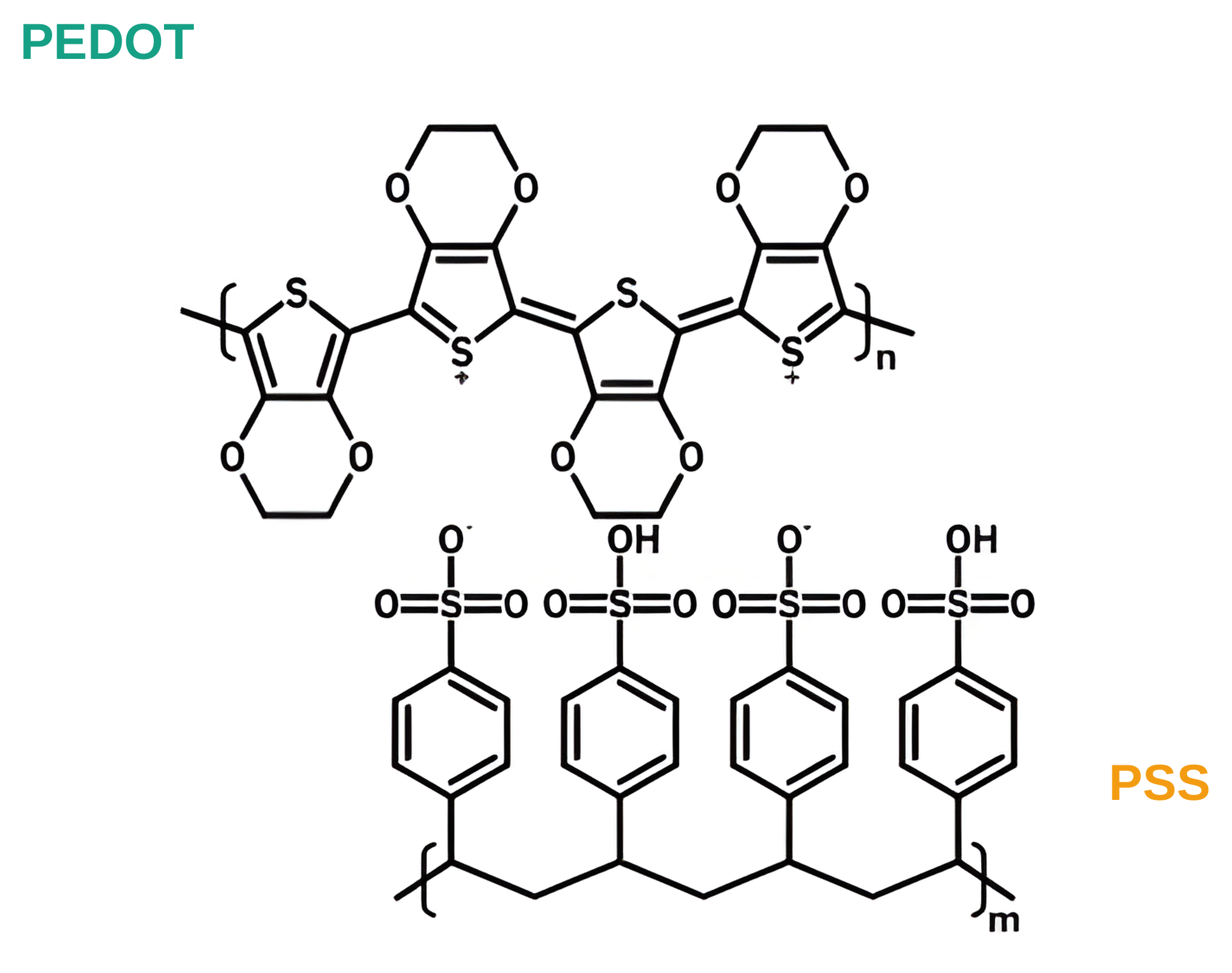 Chemical structures of the PEDOT chain, positively charged thiophene rings with ethylenedioxy bridges, above the PSS chain, a polystyrene backbone carrying sulfonate and sulfonic acid groups.