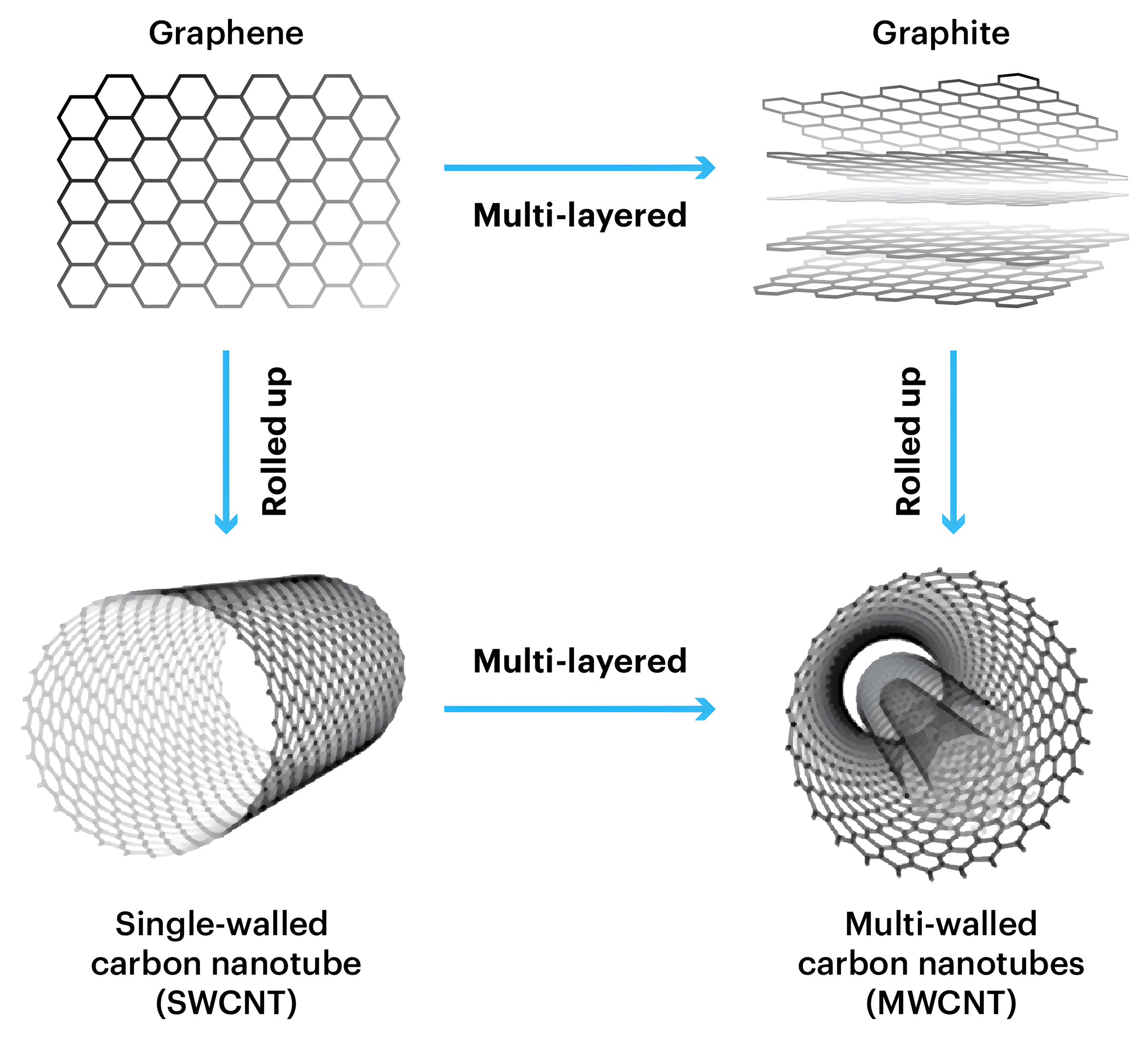 Four-panel diagram: graphene multi-layered gives graphite; graphene rolled up gives a single-walled carbon nanotube; multi-layering the tube gives multi-walled carbon nanotubes.