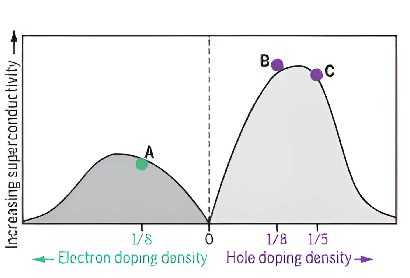 Superconductivity versus doping: two domes, a smaller one on the electron-doped side peaking near density one eighth at point A, and a larger one on the hole-doped side peaking between one eighth at point B and one fifth at point C.